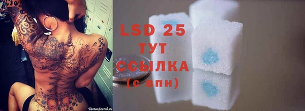 MESCALINE Горняк